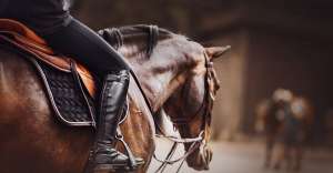 How To Select the Best Saddle for Roping Success How To Select the Best Saddle for Roping Success