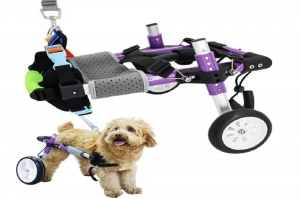 Best Wheelchair For Dogs Best Wheelchair For Dogs