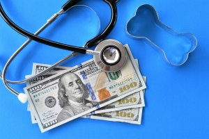 the veterinary care the veterinary care