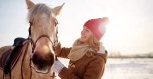 How To Adjust Your Horse’s Exercise Routine for Winter How To Adjust Your Horse’s Exercise Routine for Winter